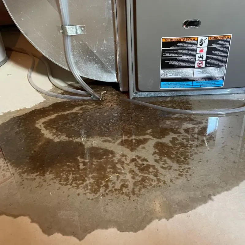 Pipe Burst and Leak Restoration in Haverhill, MA